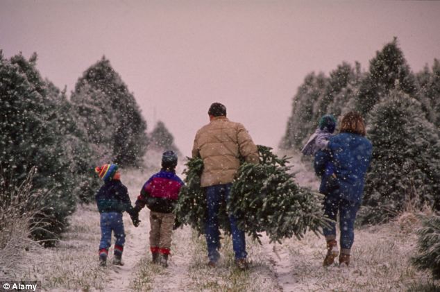 Get ready to pay more: Christmas tree growers will put millions into a Farm Bill-approved fund to hep them with marketing, with consumers likely footing the bill in the form of higher prices