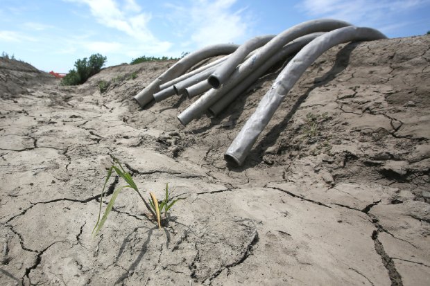 Photo - Unfortunately, this water crisis isn't purely the consequence of bad luck -- or the heavens snubbing California of the rains. Bureaucrats have managed to worsen the situation. (AP Photo) 